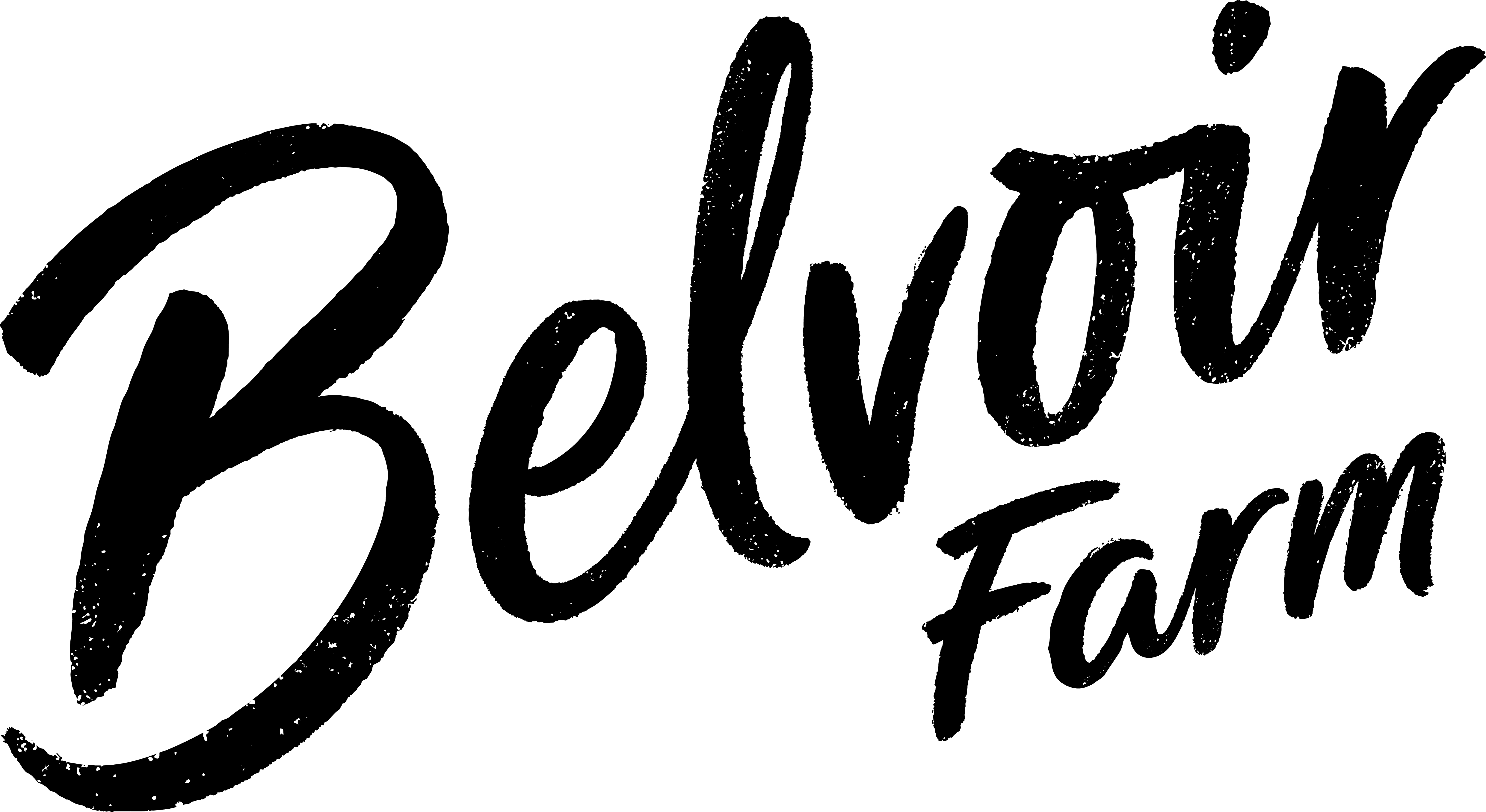 Belvoir Farm Drinks Ltd logo