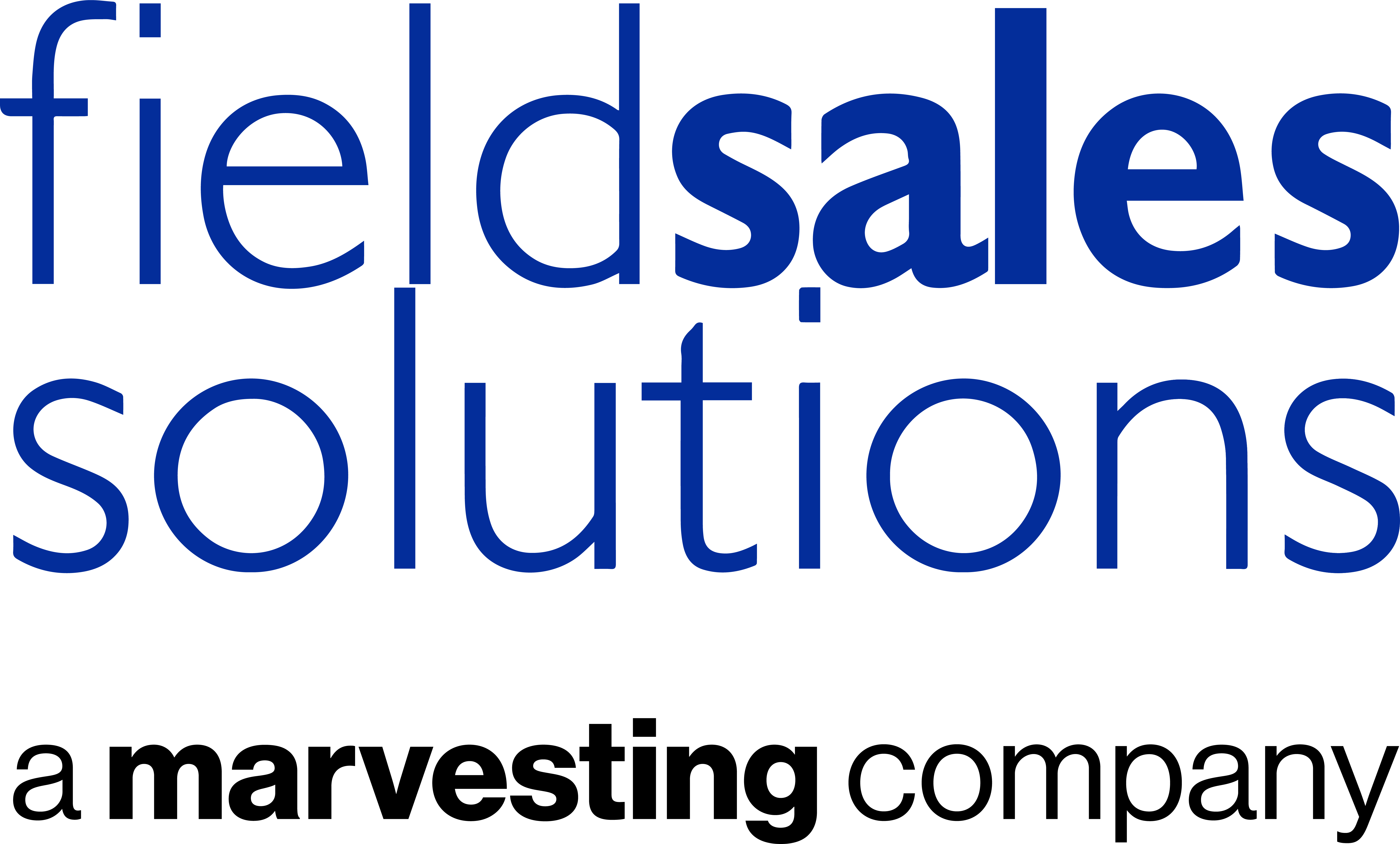 Field Sales Solutions Ltd logo